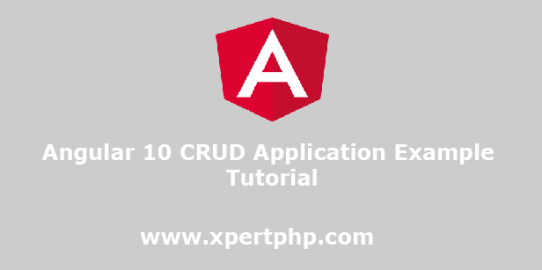 Angular 10 CRUD Application Example Tutorial