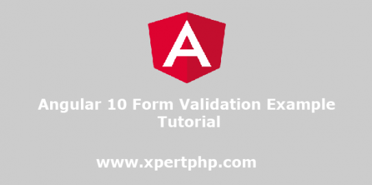 Angular 10 Form Validation Example Tutorial
