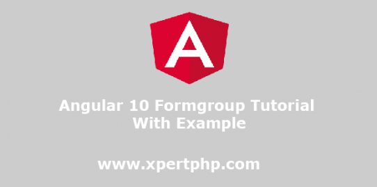 Angular 10 formgroup tutorial with example