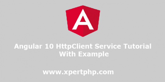 Angular 10 HttpClient Service Tutorial with Example