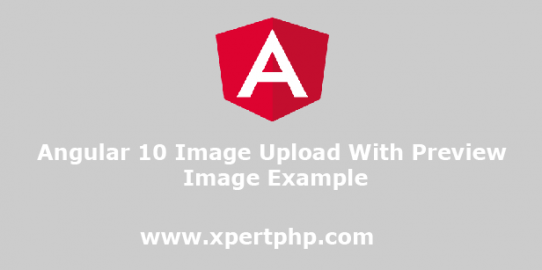 Angular 10 image upload with preview image example