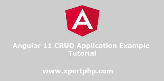 Angular 11 CRUD Application Example Tutorial