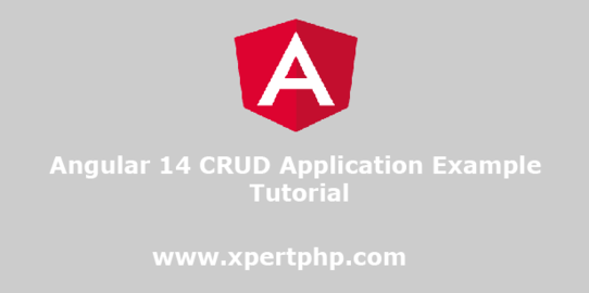 Angular 14 CRUD Application Example Tutorial