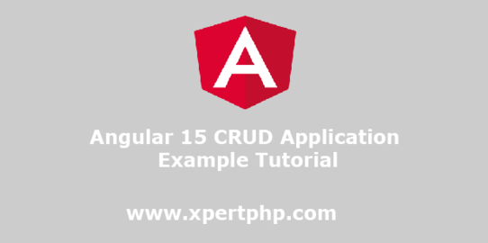 Angular 15 CRUD Application Example Tutorial