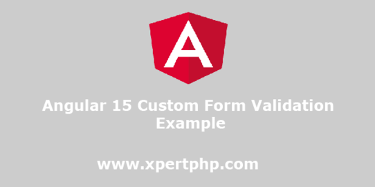 Angular 15 Custom Form Validation Example