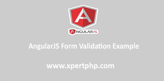AngularJS Form Validation Example