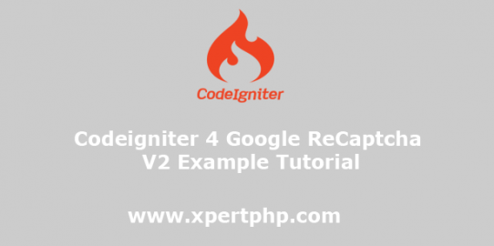Codeigniter 4 Google ReCaptcha V2 Example Tutorial