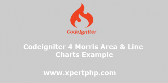 Codeigniter 4 Morris Area & Line Charts Example