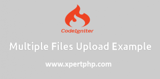 Codeigniter Multiple Files Upload Example
