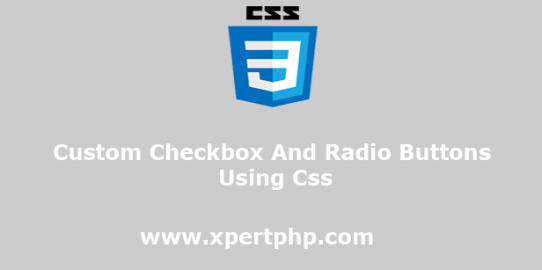 Custom checkbox and radio buttons using css