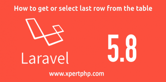 How to get or select last row from the Table in laravel