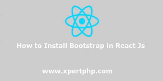 How to Install Bootstrap in React Js