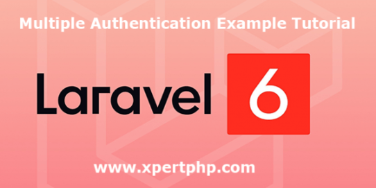 Laravel 6 Multiple Authentication Example Tutorial