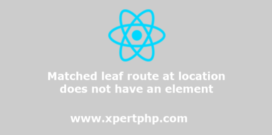 Matched leaf route at location does not have an element