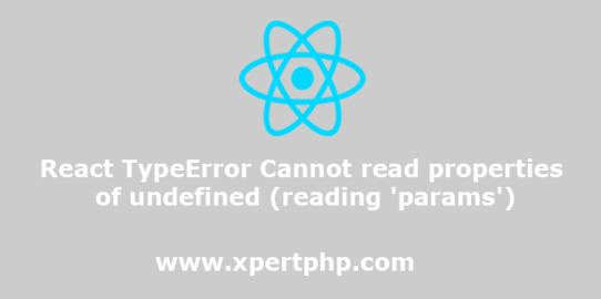 React TypeError Cannot read properties of undefined (reading ‘params’)