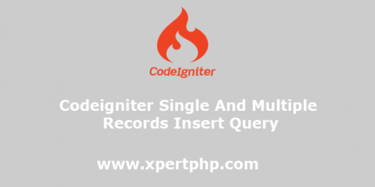 Codeigniter Single and Multiple records Insert Query