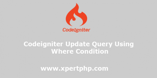 Codeigniter Update Query Using Where Condition