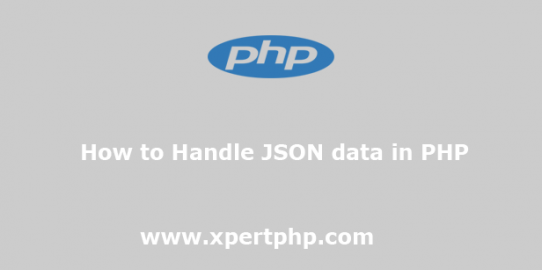 How to Handle JSON data in PHP