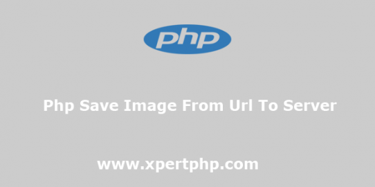 Php Save Image From Url To Server