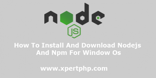 How to install and download nodejs and npm for window os