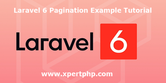 Laravel 6 Pagination Example Tutorial