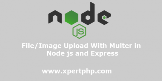 File/Image Upload With Multer in Node js and Express