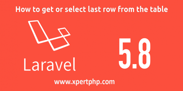 How to get or select last row from the Table in laravel