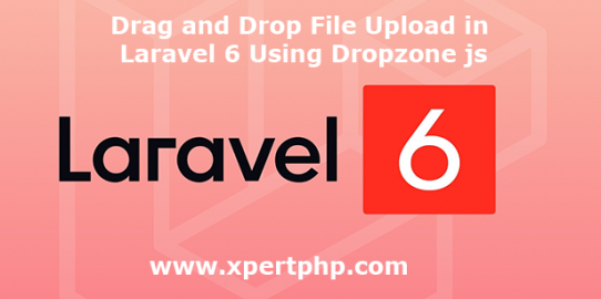 Drag and Drop File Upload in Laravel 6 Using Dropzone js