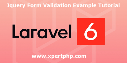 laravel 6 jquery form validation example tutorial