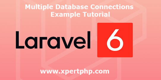 laravel 6 multiple database connections example tutorial