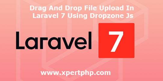 Drag And Drop File Upload In Laravel 7 Using Dropzone Js