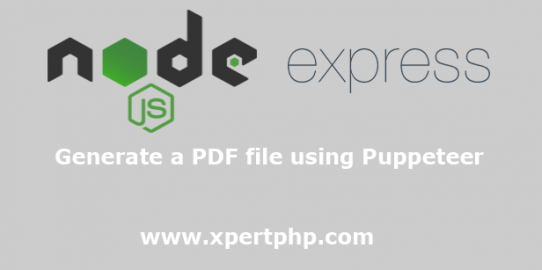 Generate a PDF file using Puppeteer in Node js