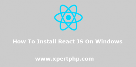 How to Install React JS On Windows