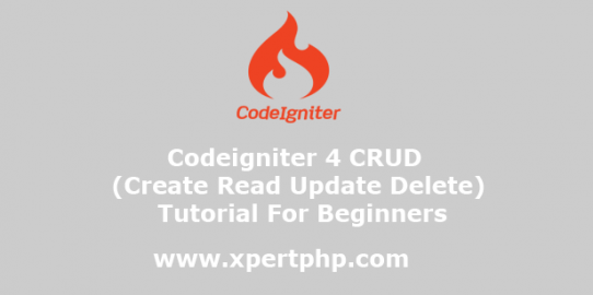 Codeigniter 4 CRUD (Create Read Update Delete) Tutorial For Beginners