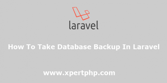 How to take database backup in laravel