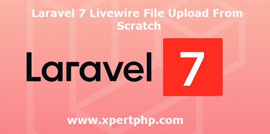 Laravel 7 Livewire File Upload From Scratch