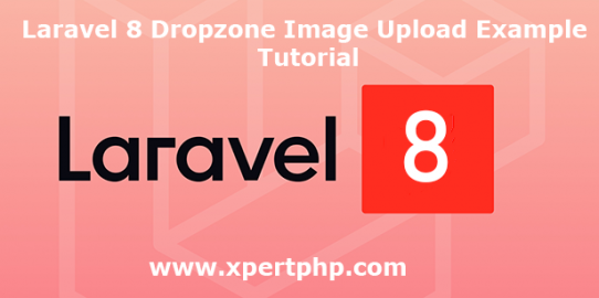 Laravel 8 Dropzone Image Upload Example Tutorial