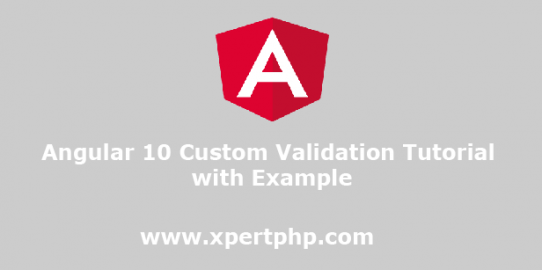 Angular 10 Custom Validation Tutorial with Example
