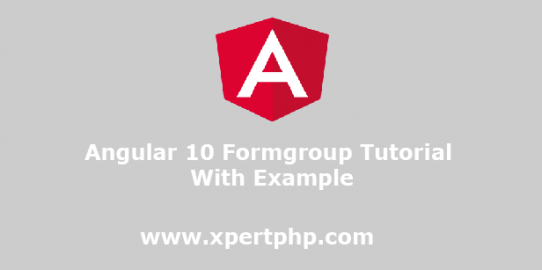 Angular 10 Formgroup Tutorial With Example