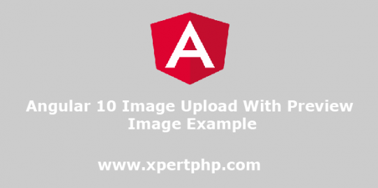 angular 10 image upload with preview image example