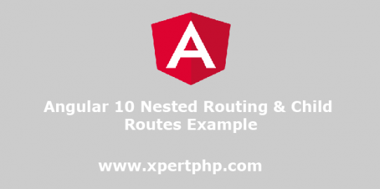 Angular 10 nested routing & Child Routes example