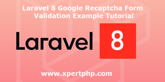Laravel 8 google recaptcha form validation example tutorial