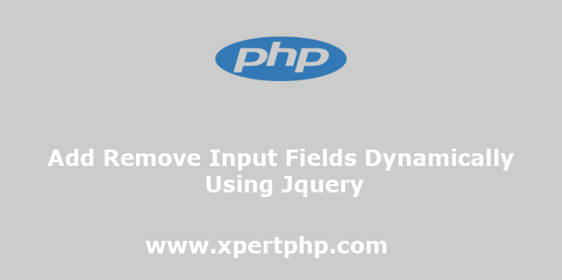 Add Remove Input Fields Dynamically Using Jquery