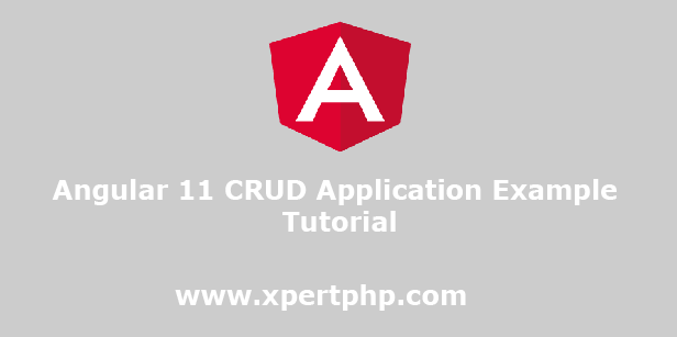 Angular 11 CRUD Application Example Tutorial