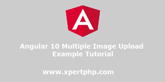 Angular 10 Multiple Image Upload Example Tutorial