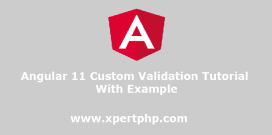 Angular 11 Custom Validation Tutorial With Example
