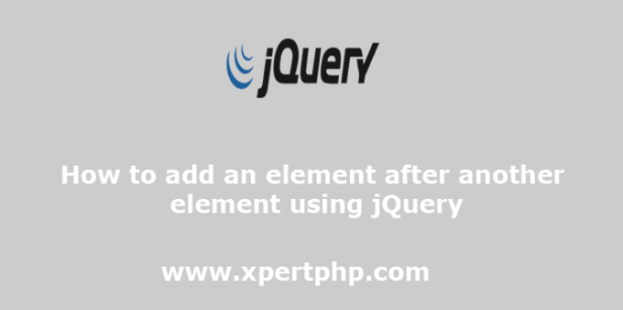 How to add an element after another element using jQuery