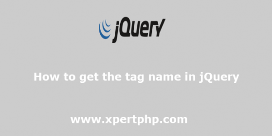 How to get the tag name in jQuery