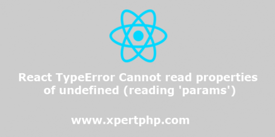 React TypeError Cannot read properties of undefined (reading 'params')