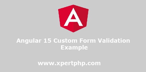 Angular 15 Custom Form Validation Example